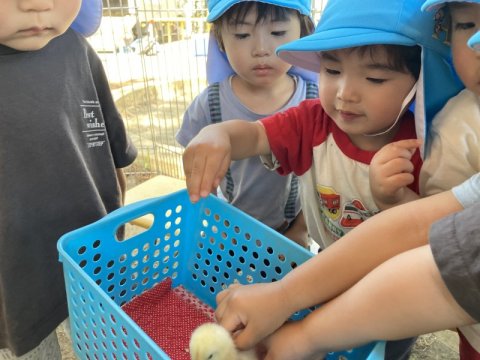 0519-2.jpeg