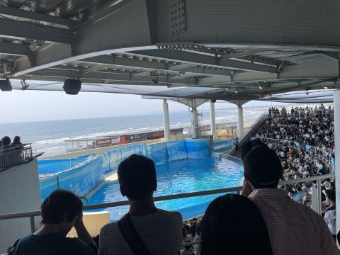 IMG_3994.jpg IMG_3994.jpg